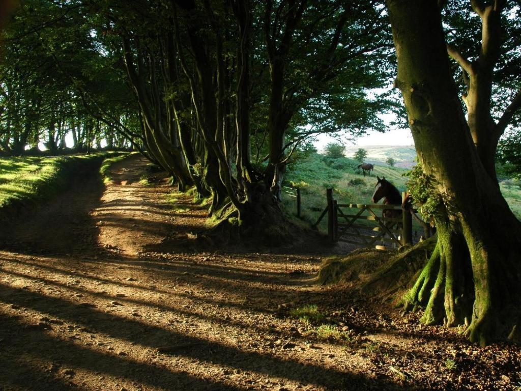 Notley Arms Inn Exmoor National Park Elworthy Buitenkant foto