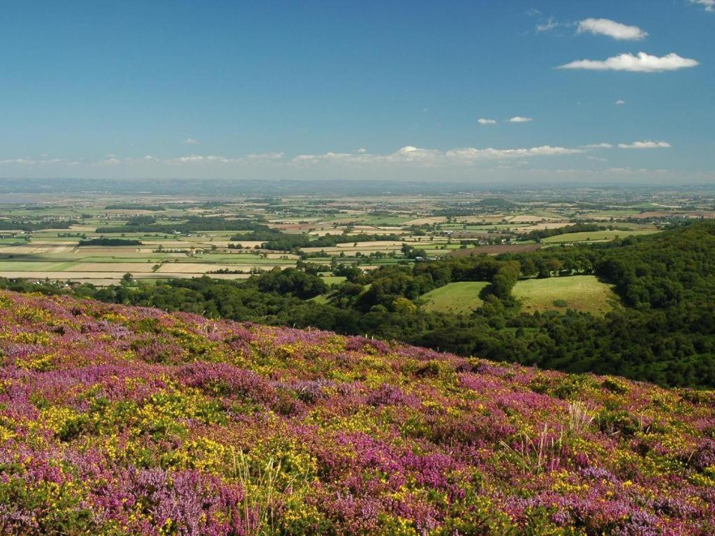 Notley Arms Inn Exmoor National Park Elworthy Buitenkant foto